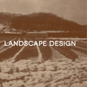Landscape design
