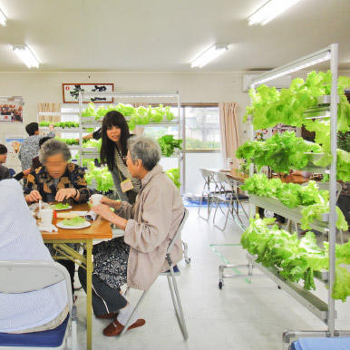 共同菜園型植物工場のデザイン：名取市被災地エリアでの取組