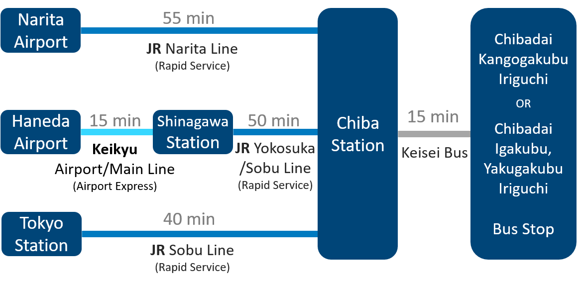 chart_access_inohana