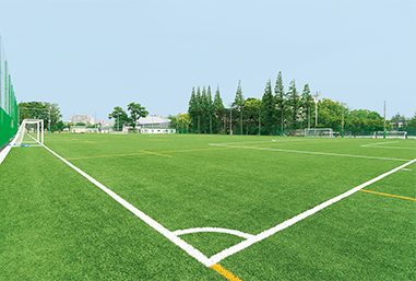 Soccer/rugby field