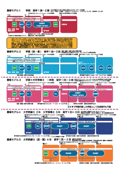 COURSE MODEL