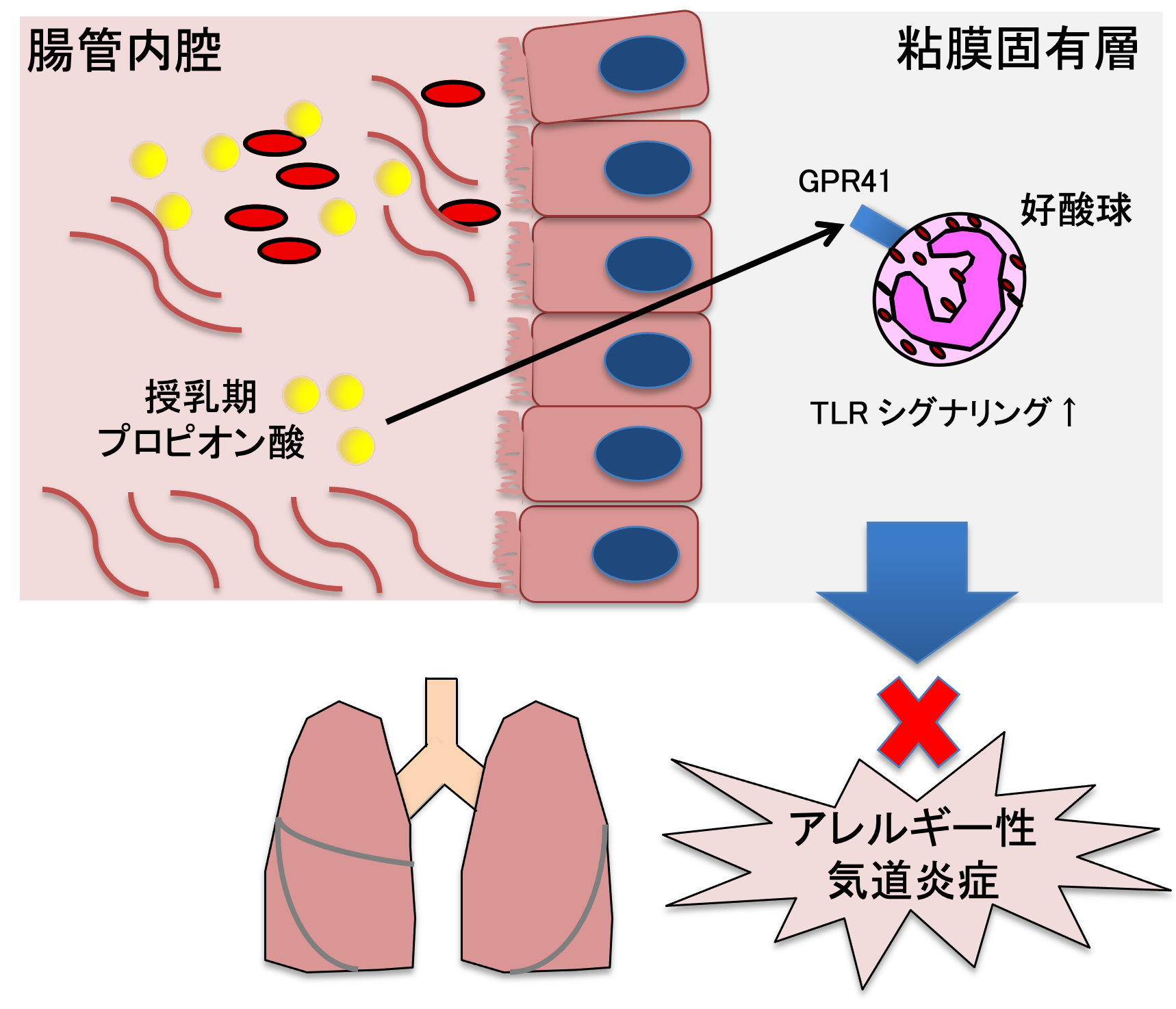 20230509_inoue01