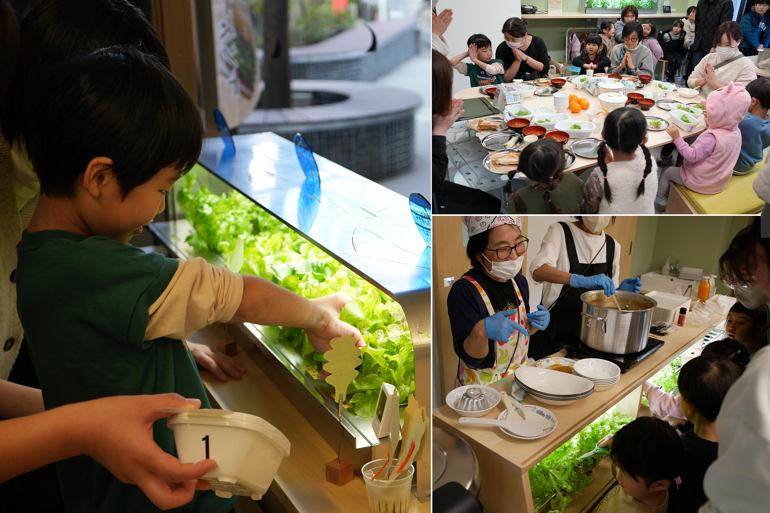 「街中植物工場」写真