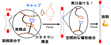 研究概要図