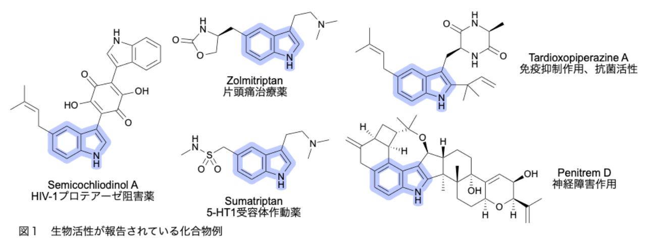 図１　生物活性が報告されている化合物例