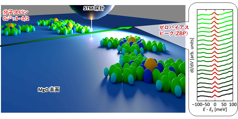 図１：Fe(001)磁性基板の表面を、厚さ約1 nmの絶縁体であるMgO薄膜で被覆し、その上に量子磁石であるCuPc単分子を吸着させた。その結果、分子内に存在するCuイオンがスピン角運動量 S = 1/2 の量子スピンを持つことが、ゼロバイアスピーク（ZBP）の出現から確認された。これは、スピンが他の電子とほとんど相互作用していない“孤立した状態”にあることを示す。