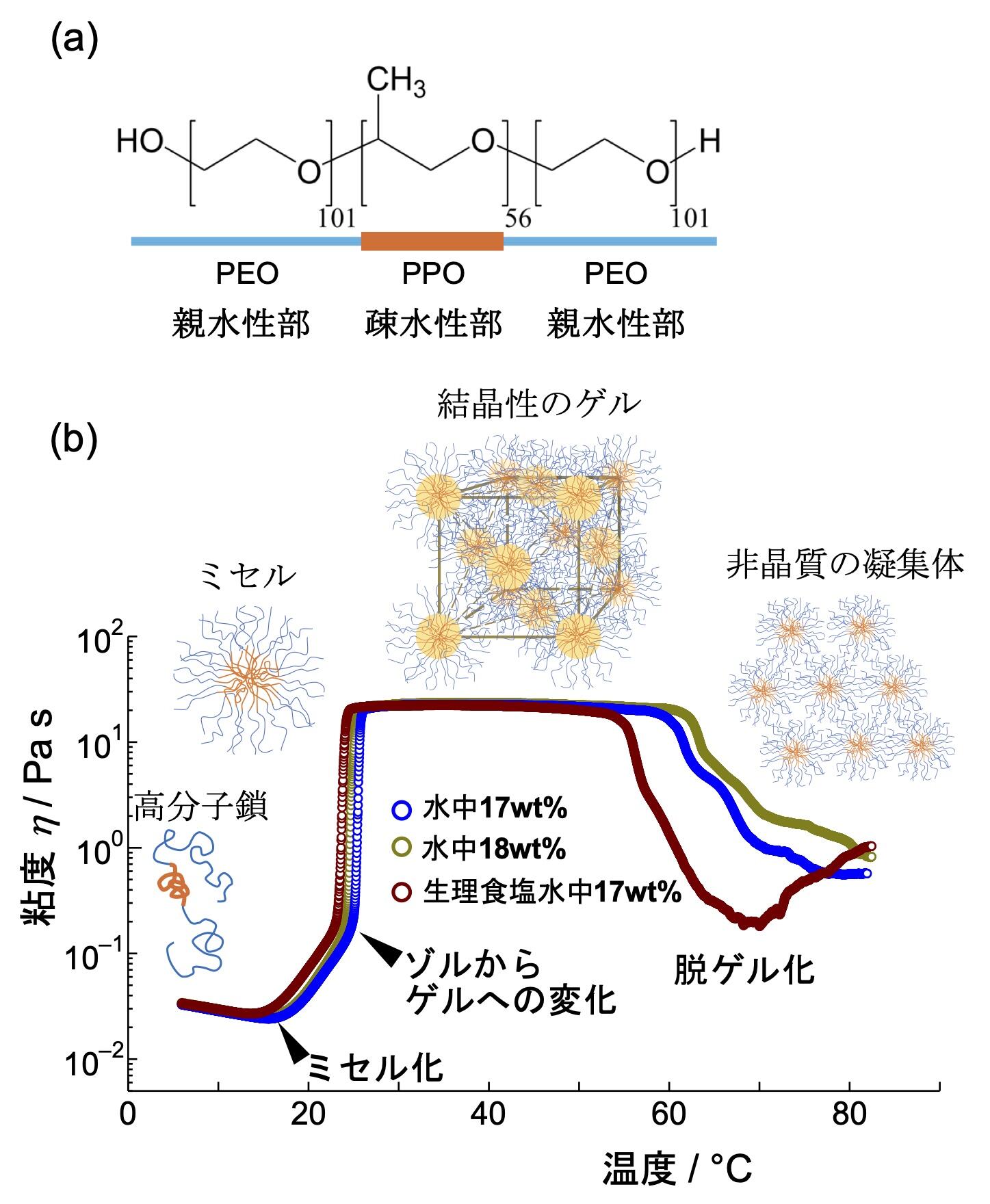 図1：(a) 重要なドラックナノキャリアであるポロキサマー407の化学構造。三つの部分から構成され、両端に生体親和性にも優れた親水性部分、中央に疎水性部分を持つ。(b) 温度の上昇にともなうミセル化、ゲル化、および、ゲルの構造が崩壊する脱ゲル化の挙動。親水性・疎水性部分の色分けは(a)の図と対応。