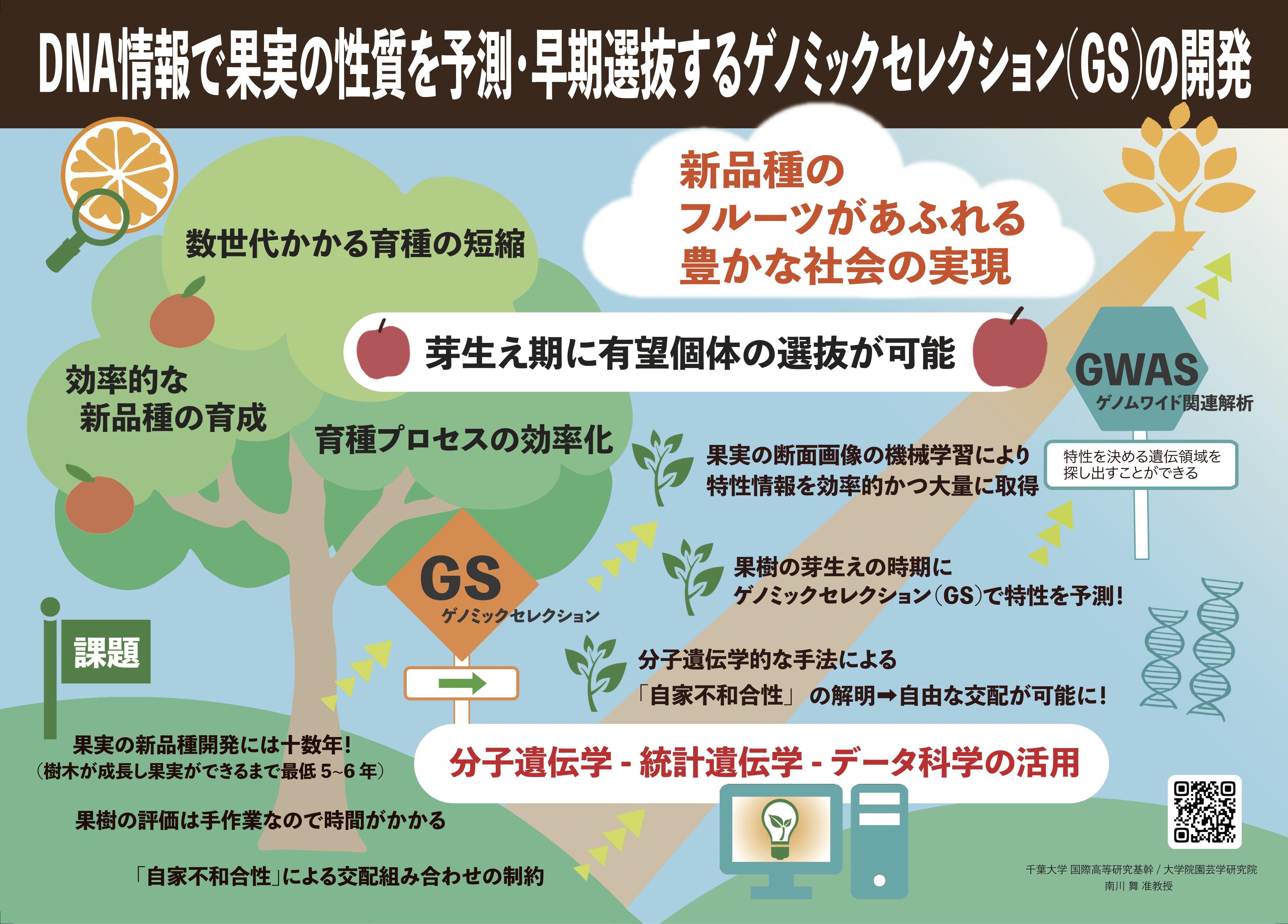 南川准教授の研究テーマ