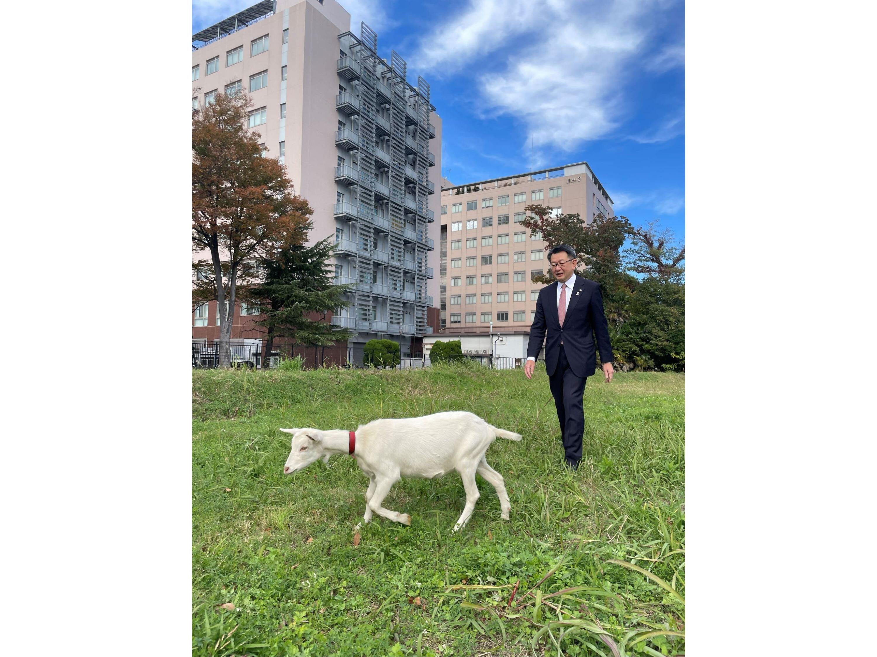 敷地内には広大な緑地が広がっている